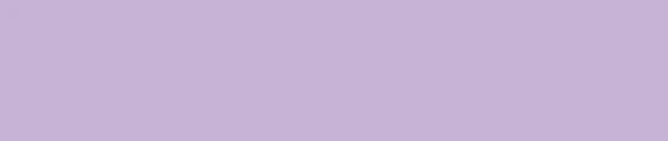 MT Masking Tape - Light Purple